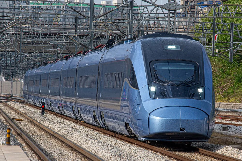 Dự đoán và kế hoạch trong năm 2024